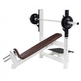 Gym80 SYGNUM Incline Bench