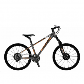 Велосипед RoyalBaby FEMA MTB 1.0 24, OFFICIAL UA, сірий