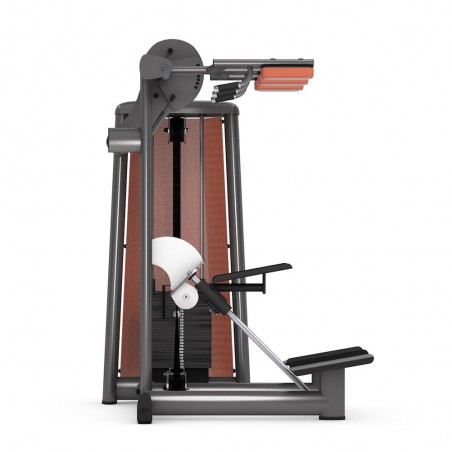 Gym80 Innovation Gluateus Machine