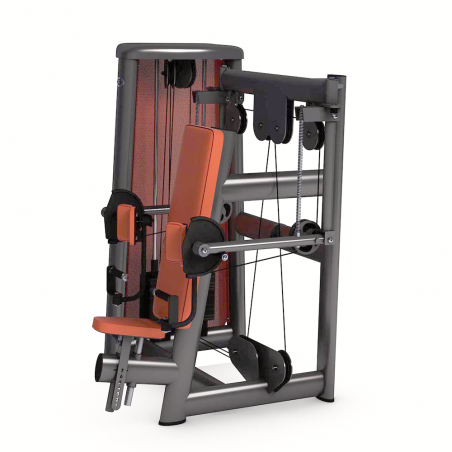 Gym80 Innovation Bizeps Curl Machine