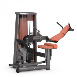 Gym80 Innovation Back Stretch Machine