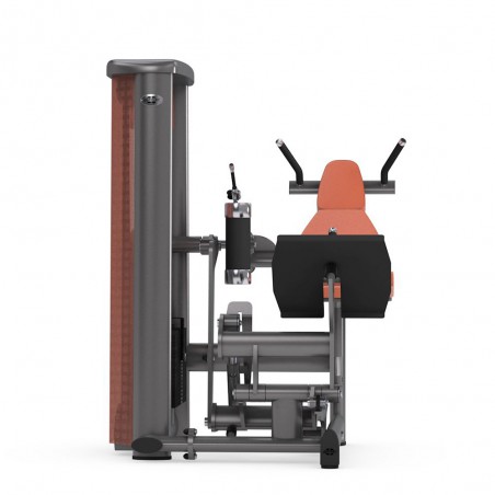 Gym80 Innovation Back Stretch Machine