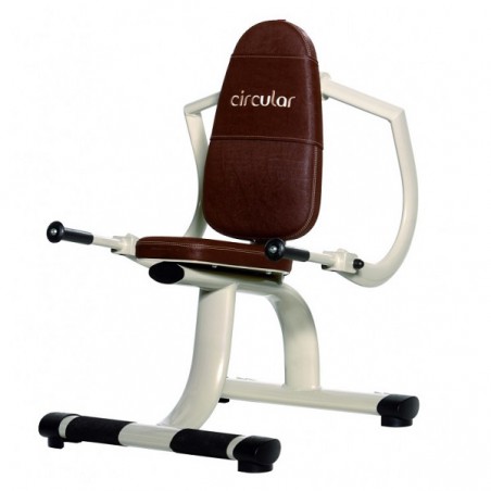 Gym80 Circular Arm Curl and Triceps Extension Machine