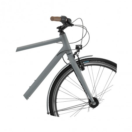 Велосипед Winora Aruba men 28 8-G Nexus FL, рама 56, сірий матовий, 2021
